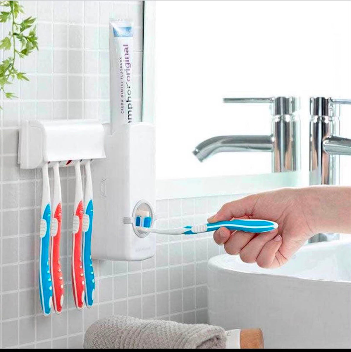 🦷 Distributeur de Dentifrice & Porte-Brosses